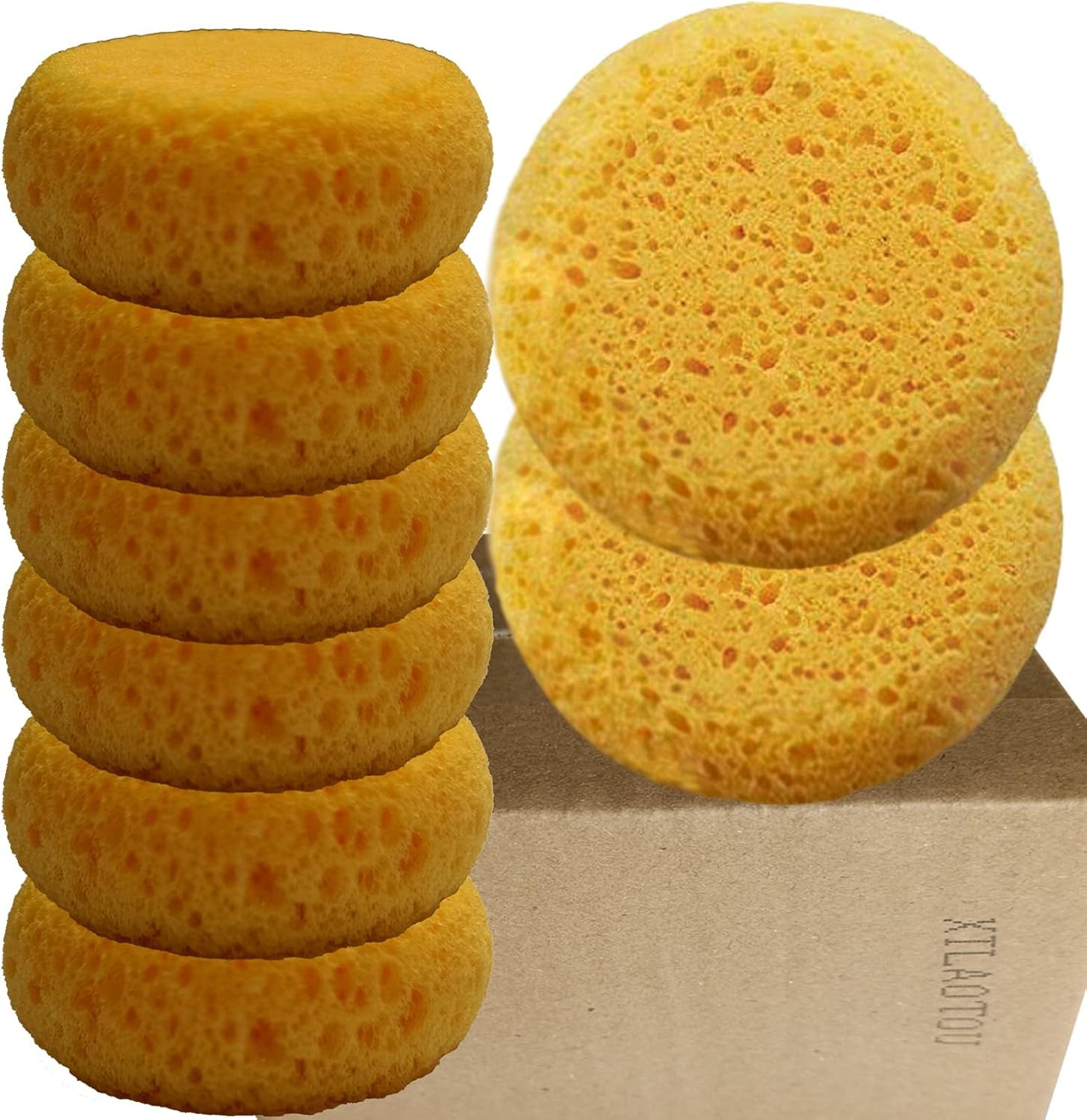 A Box of 12 Tack Sponges (Coarse Holes)