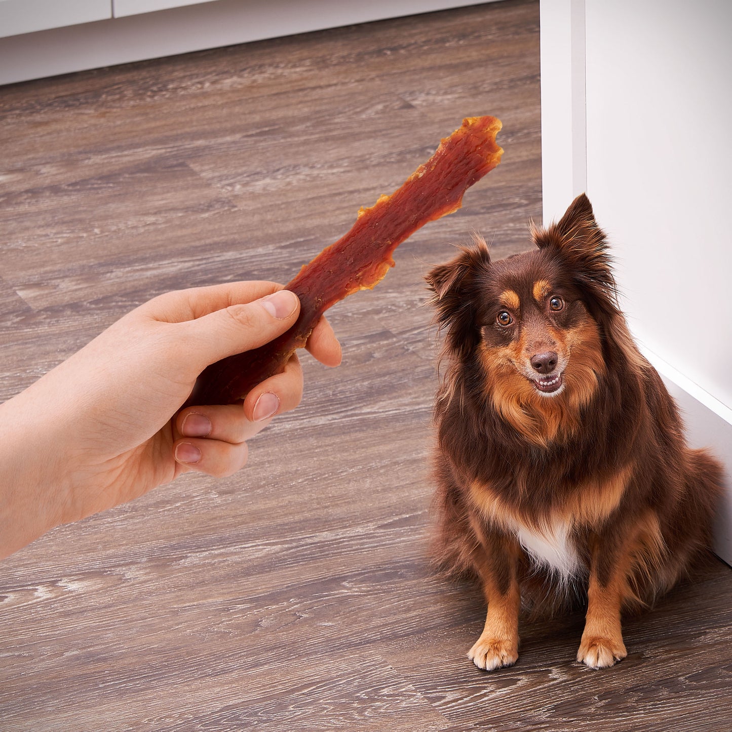 (2 Pack) Duck Jerky Premium Dog Treats,32 Oz