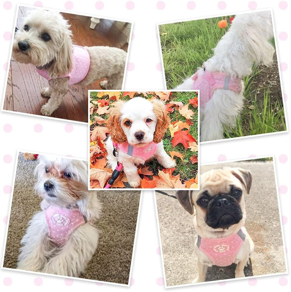 Dog Vest Harness for Puppy and Cat, No Pull Adjustable Reflective Step-In Puppy Harness Cute Pink Polka Dot Soft for Small and Medium Dogs