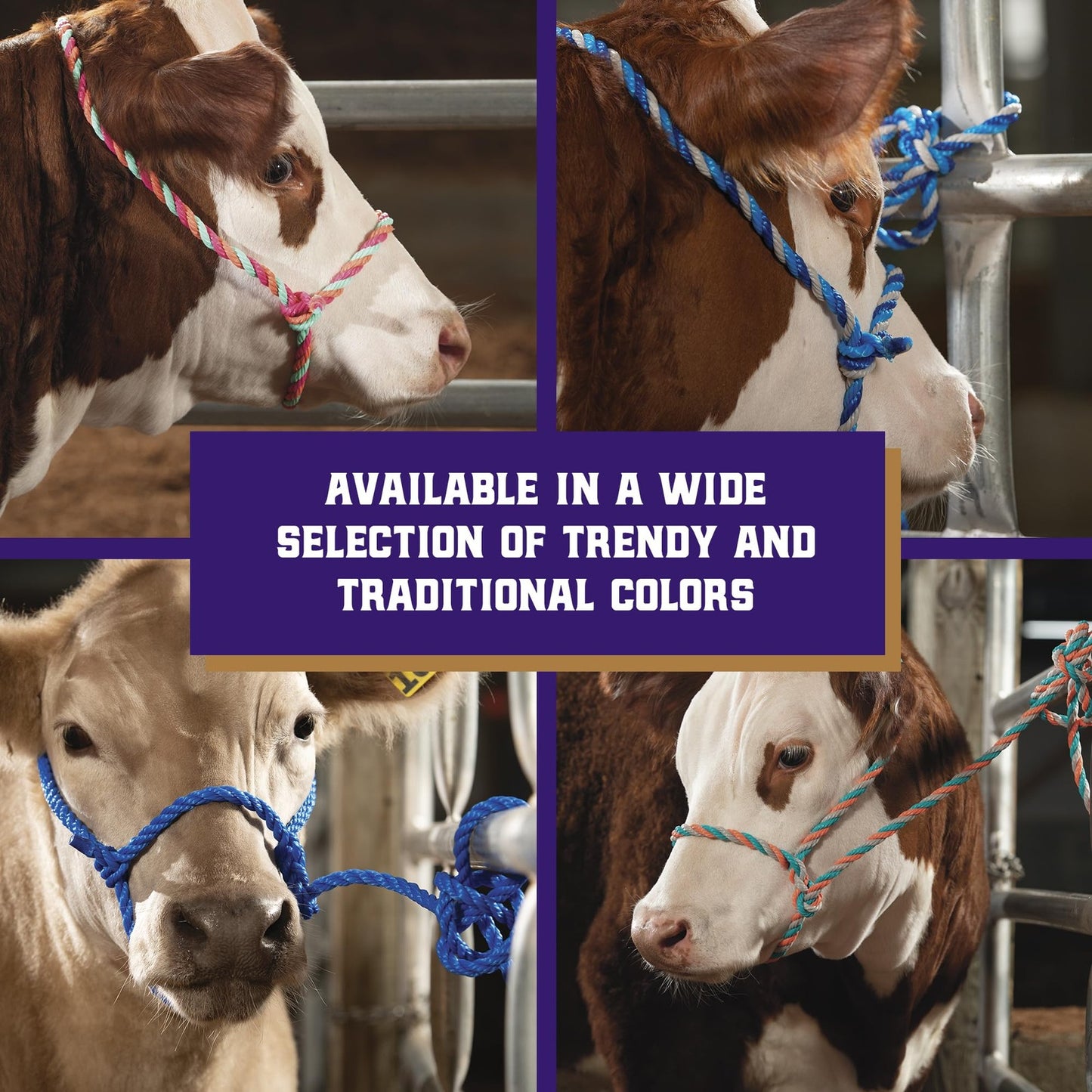 Weaver Leather Livestock Cattle Rope Halter, Purple/Black/T