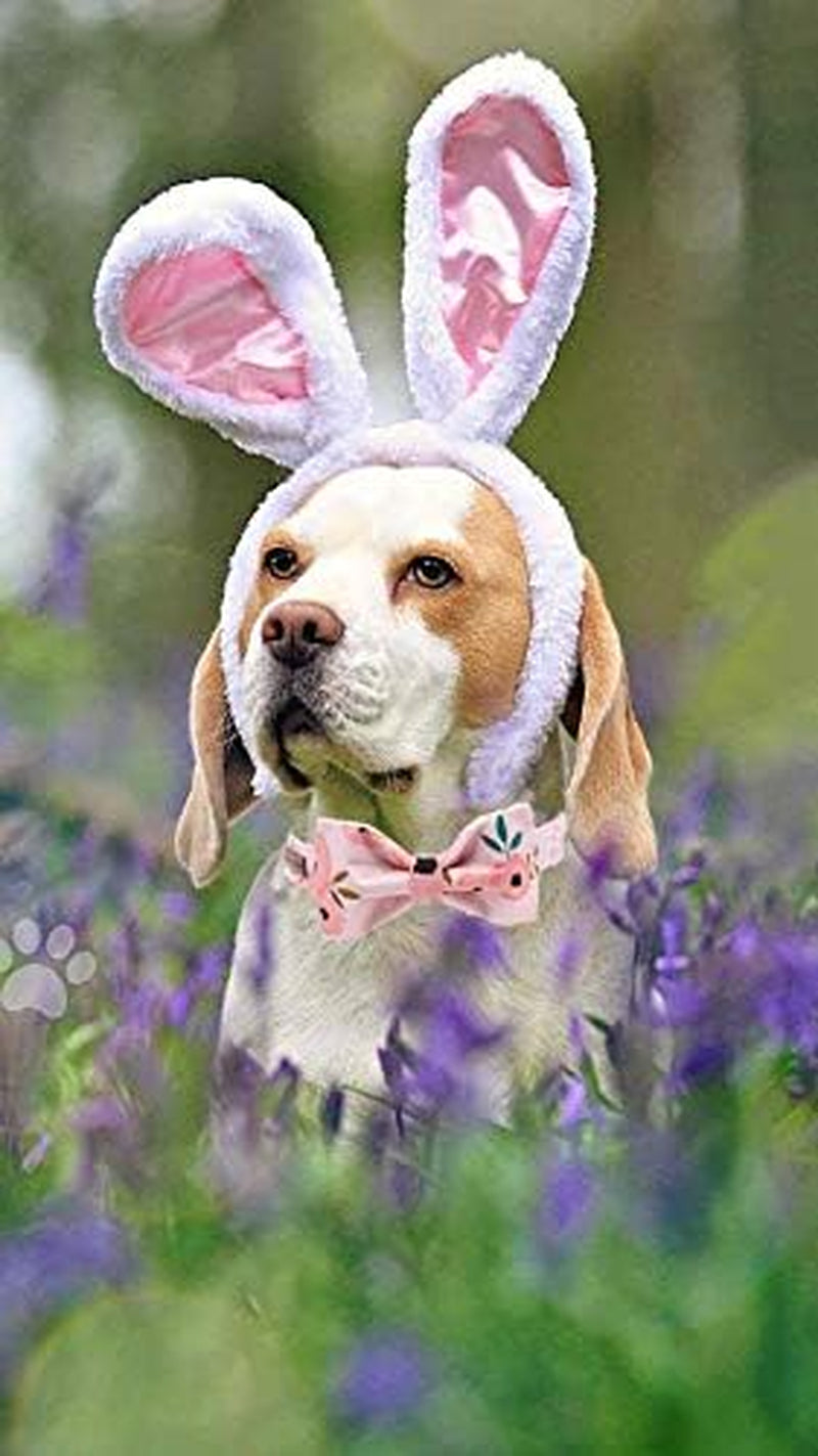 Dog Collar with Bow, Comfotable Dog Bowtie, Bowtie Dog Collar Adjustable Dog Collars for Small Medium Large Dogs and Cats