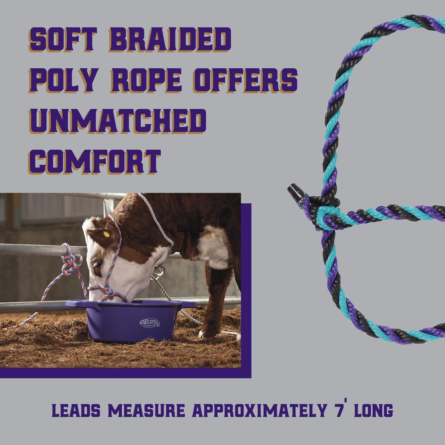 Weaver Leather Livestock Cattle Rope Halter, Purple/Black/T