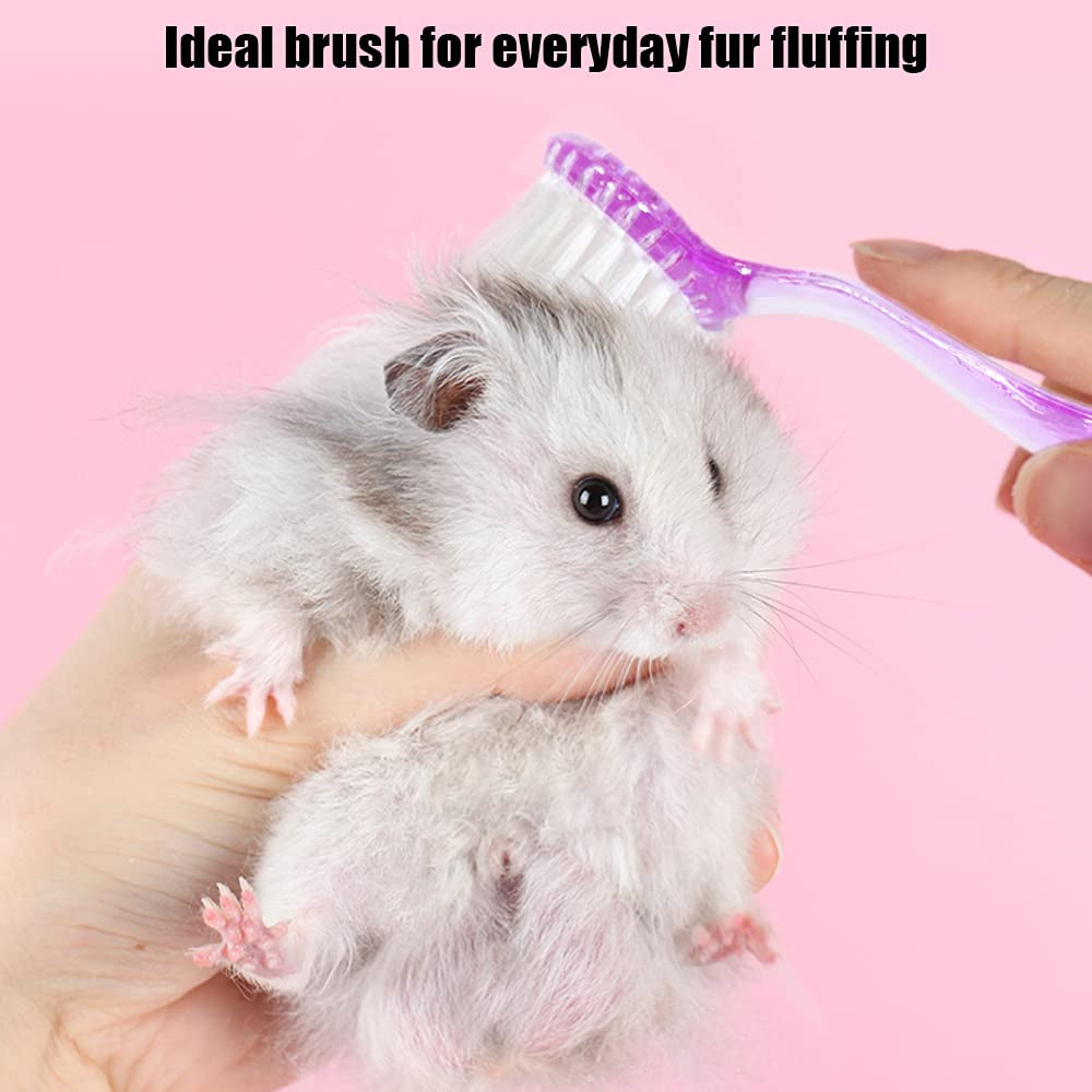 2 Pack Hamster Brush, Guinea Pig Massage Combs, Hedgehog Cleaning Supplies - Purple