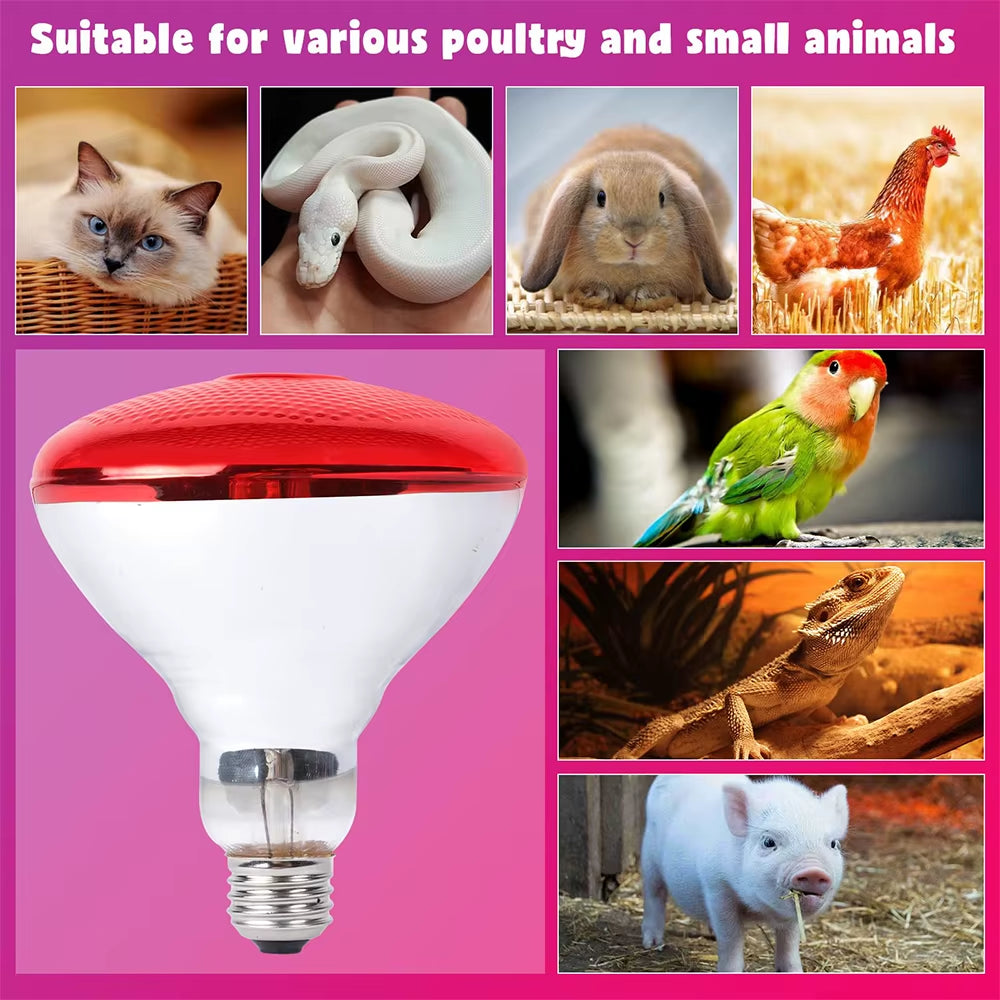 220V Infrared Heating Bulb Lamp 100/150/200/275W for Amphibians Reptiles Poultry Pets Livestock E27 Chicken Duck Farm Supplies