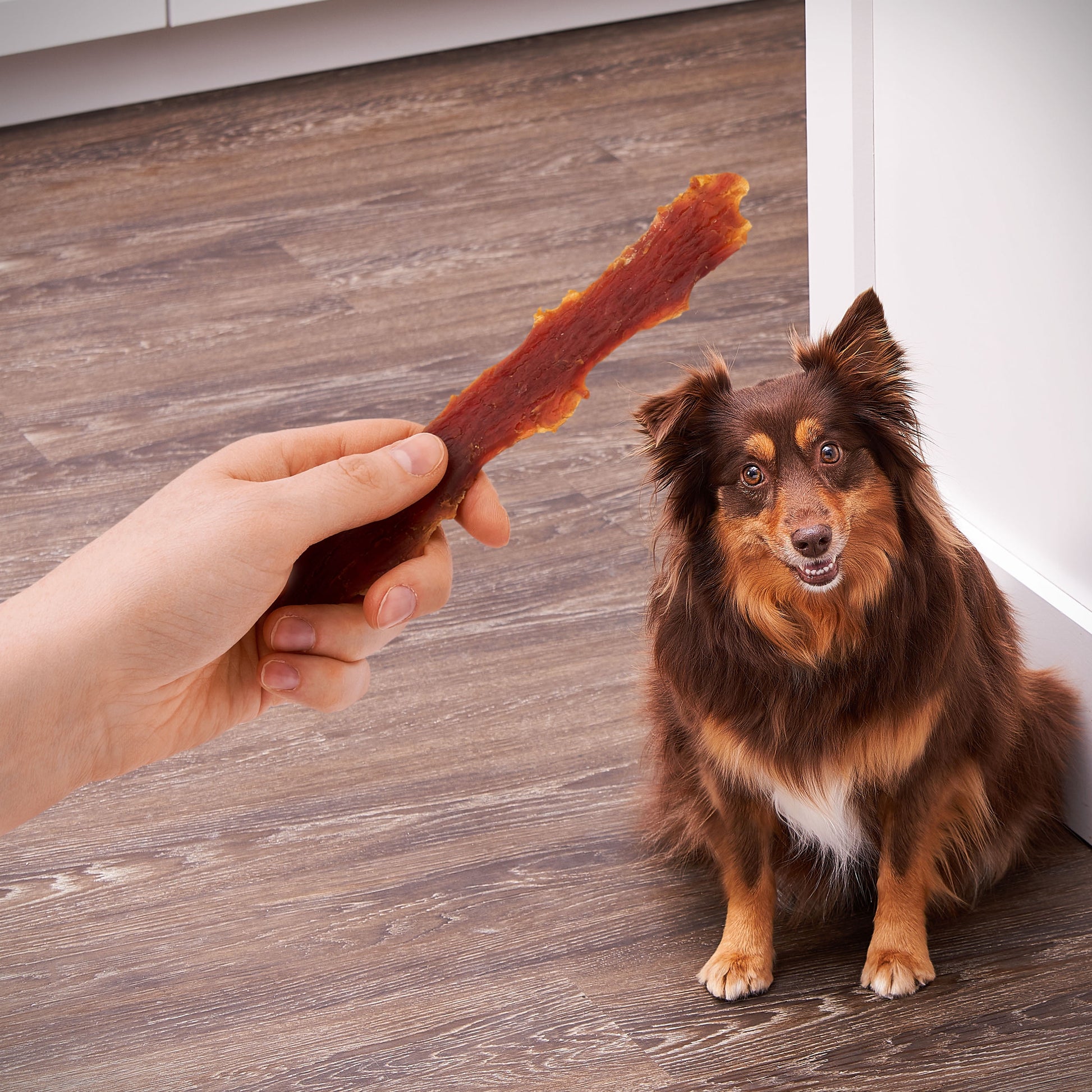 (2 Pack)  Duck Jerky Premium Dog Treats，32 Oz
