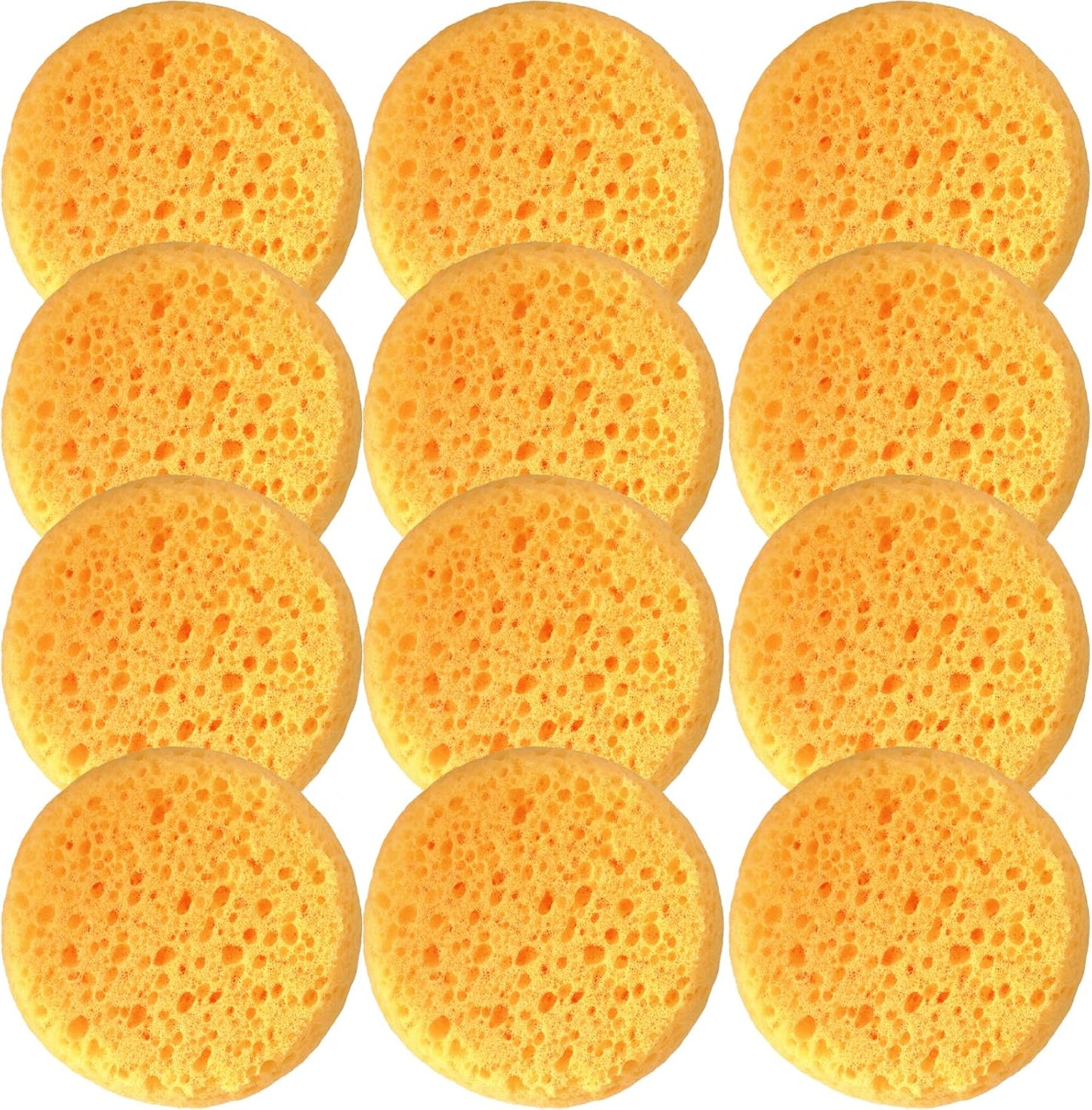 A Box of 12 Tack Sponges (Coarse Holes)