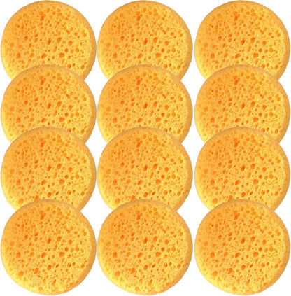 A Box of 12 Tack Sponges (Coarse Holes)