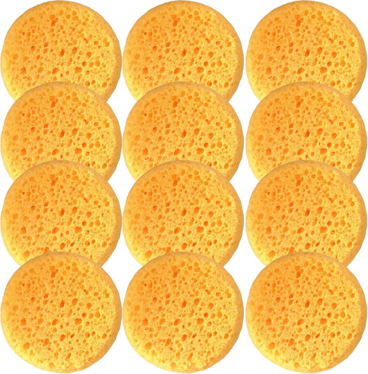 A Box of 12 Tack Sponges (Coarse Holes)