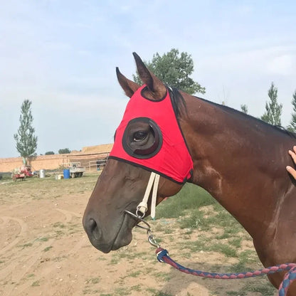 Horse Fly Mask Harness Supplies Horse Cover Windproof Eye Mask Speed Race Goggles Horse Head Cover Equestrian Accessories