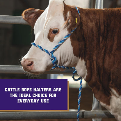 Weaver Leather Livestock Cattle Rope Halter, Purple/Black/T