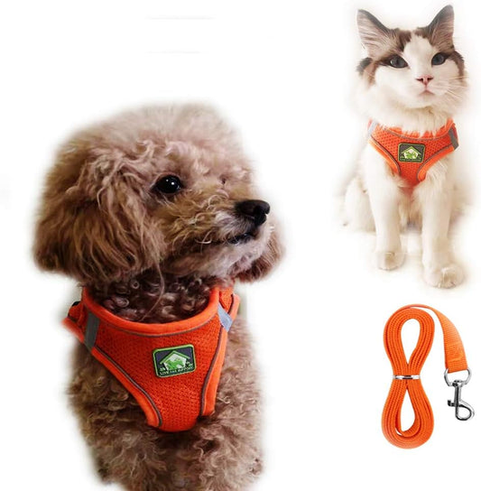 No Pull Small Dog Harness and Leash Set, Puppy and Cat Harness Escape Proof, Step in Breathable Mesh Vest, Adjustable Reflective Pet Harnesses for Small Medium Dogs and Kittens Walking