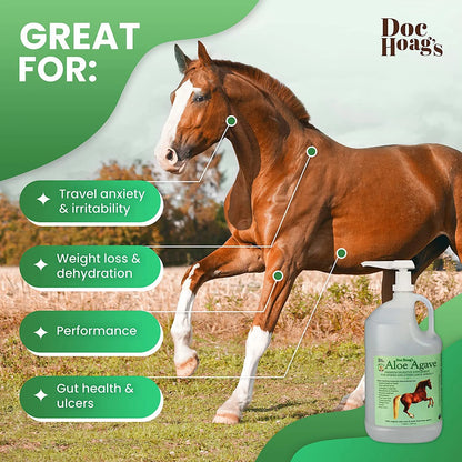 Aloe-Agave Supplement for Horses and Other Large Animals by