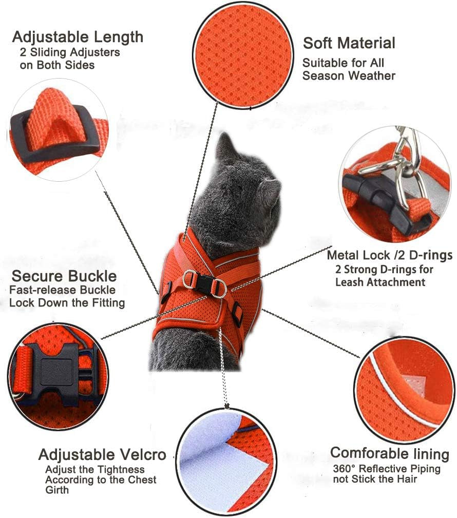 No Pull Small Dog Harness and Leash Set, Puppy and Cat Harness Escape Proof, Step in Breathable Mesh Vest, Adjustable Reflective Pet Harnesses for Small Medium Dogs and Kittens Walking