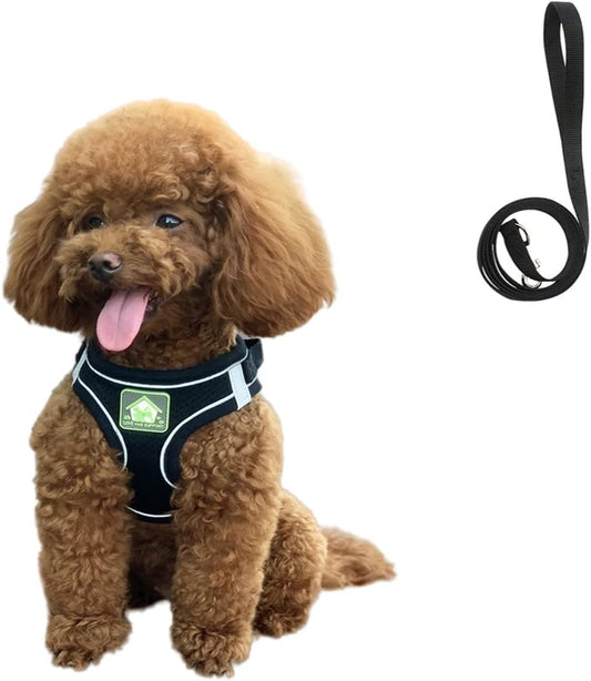 No Pull Small Dog Harness and Leash Set, Puppy and Cat Harness Escape Proof, Step in Breathable Mesh Vest, Adjustable Reflective Pet Harnesses for Small Medium Dogs and Kittens Walking