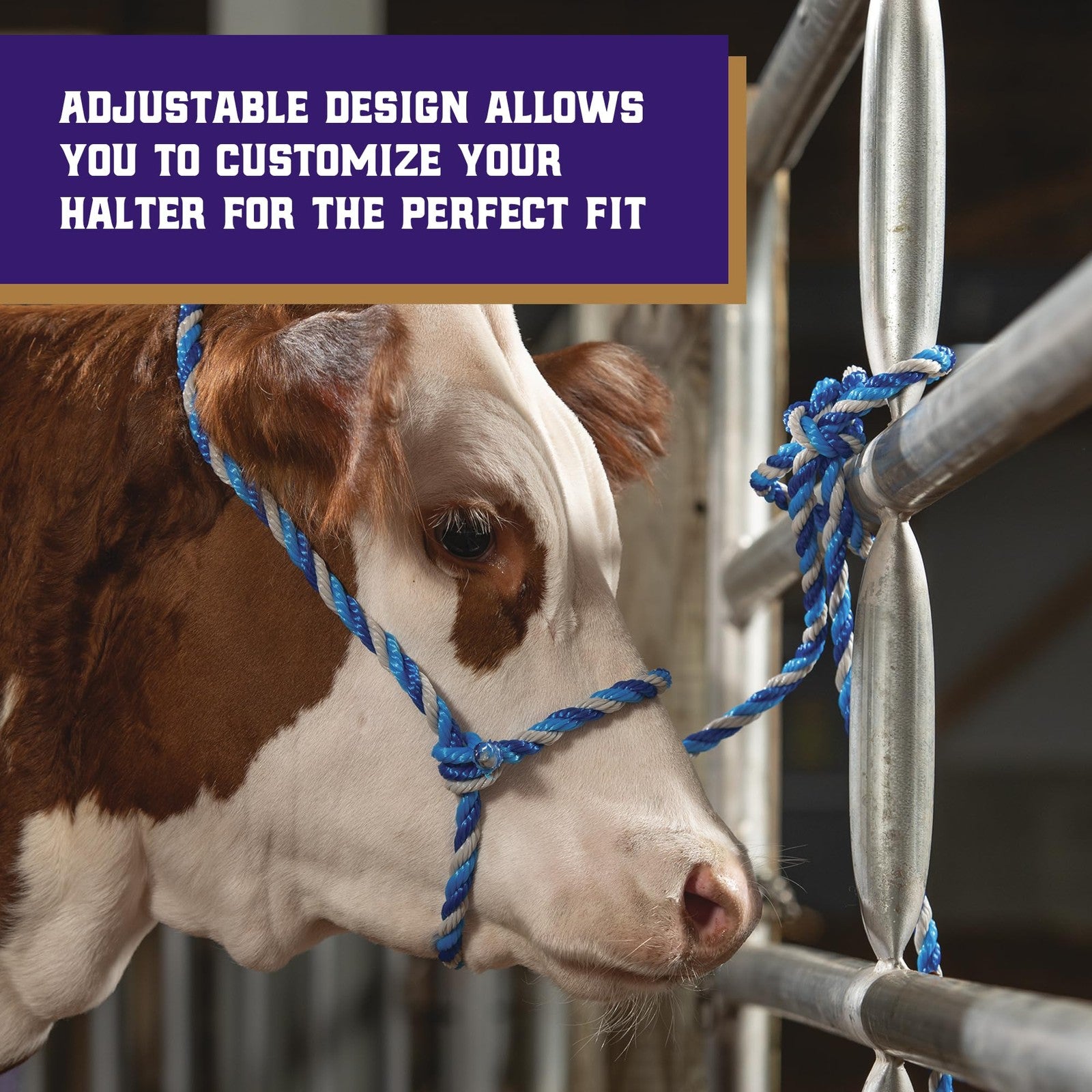 Weaver Leather Livestock Cattle Rope Halter, Purple/Black/T