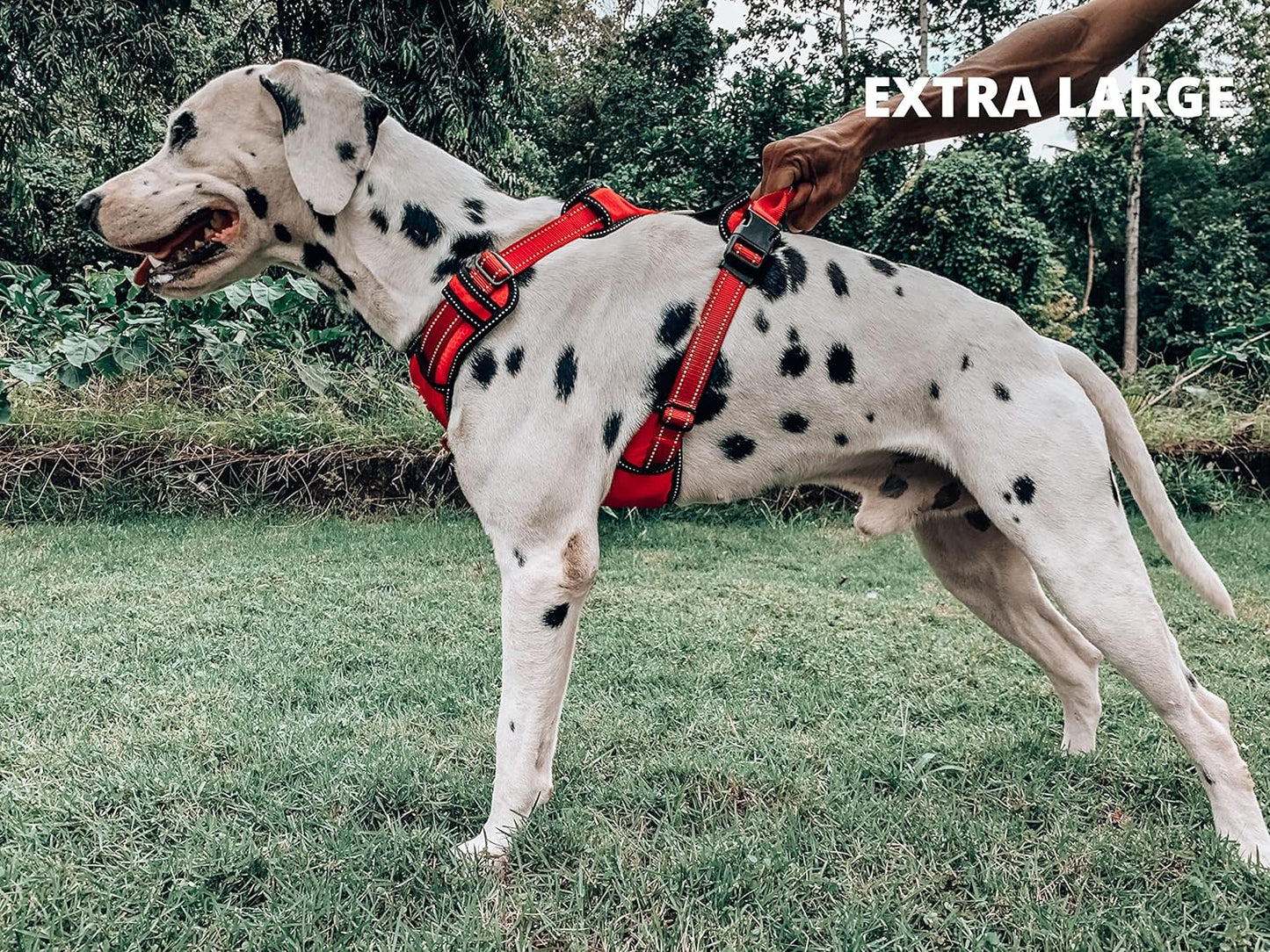No Pull Easy Walk Dog Harness | Heavy Duty Pet Vest | Front & Back Leash Clips | Strong Safety Handle | Reflective anti Pull Vest | Comfortable Padded Escape Proof Harness (X-Large, Red)