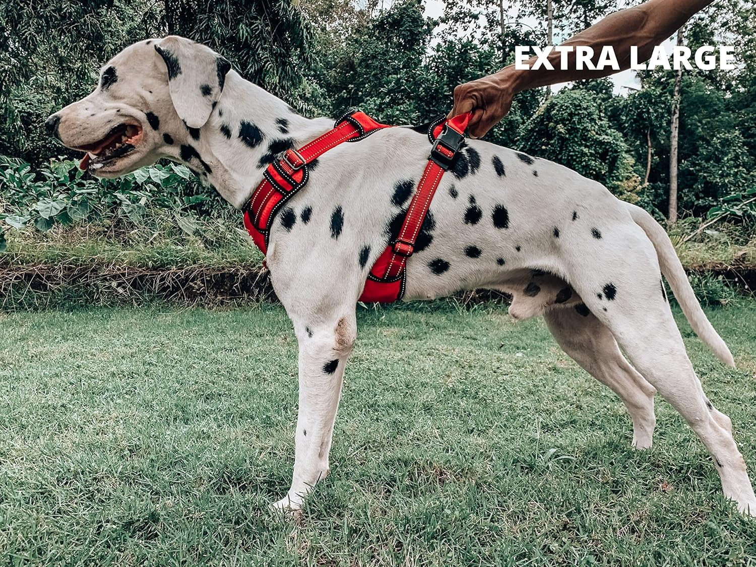 No Pull Easy Walk Dog Harness | Heavy Duty Pet Vest | Front & Back Leash Clips | Strong Safety Handle | Reflective anti Pull Vest | Comfortable Padded Escape Proof Harness (X-Large, Red)