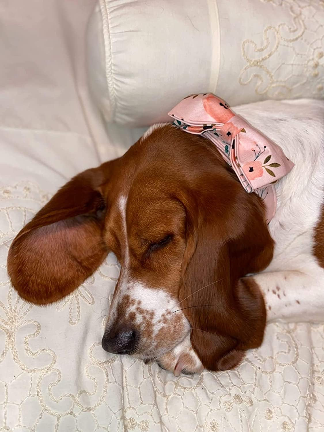 Dog Collar with Bow, Comfotable Dog Bowtie, Bowtie Dog Collar Adjustable Dog Collars for Small Medium Large Dogs and Cats