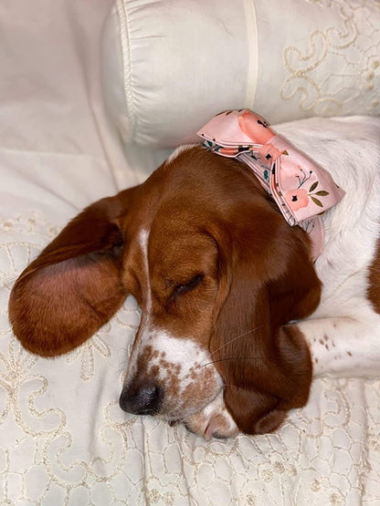 Dog Collar with Bow, Comfotable Dog Bowtie, Bowtie Dog Collar Adjustable Dog Collars for Small Medium Large Dogs and Cats