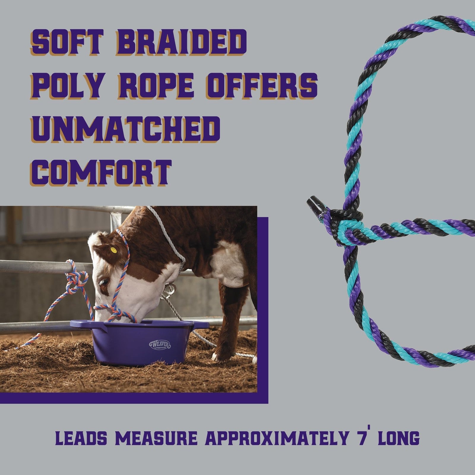 Weaver Leather Livestock Cattle Rope Halter, Purple/Black/T