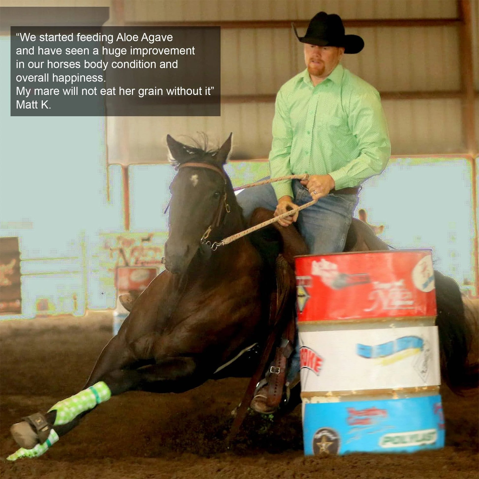 Aloe-Agave Supplement for Horses and Other Large Animals by