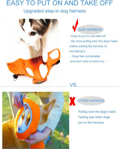 No Pull Small Dog Harness and Leash Set, Puppy and Cat Harness Escape Proof, Step in Breathable Mesh Vest, Adjustable Reflective Pet Harnesses for Small Medium Dogs and Kittens Walking