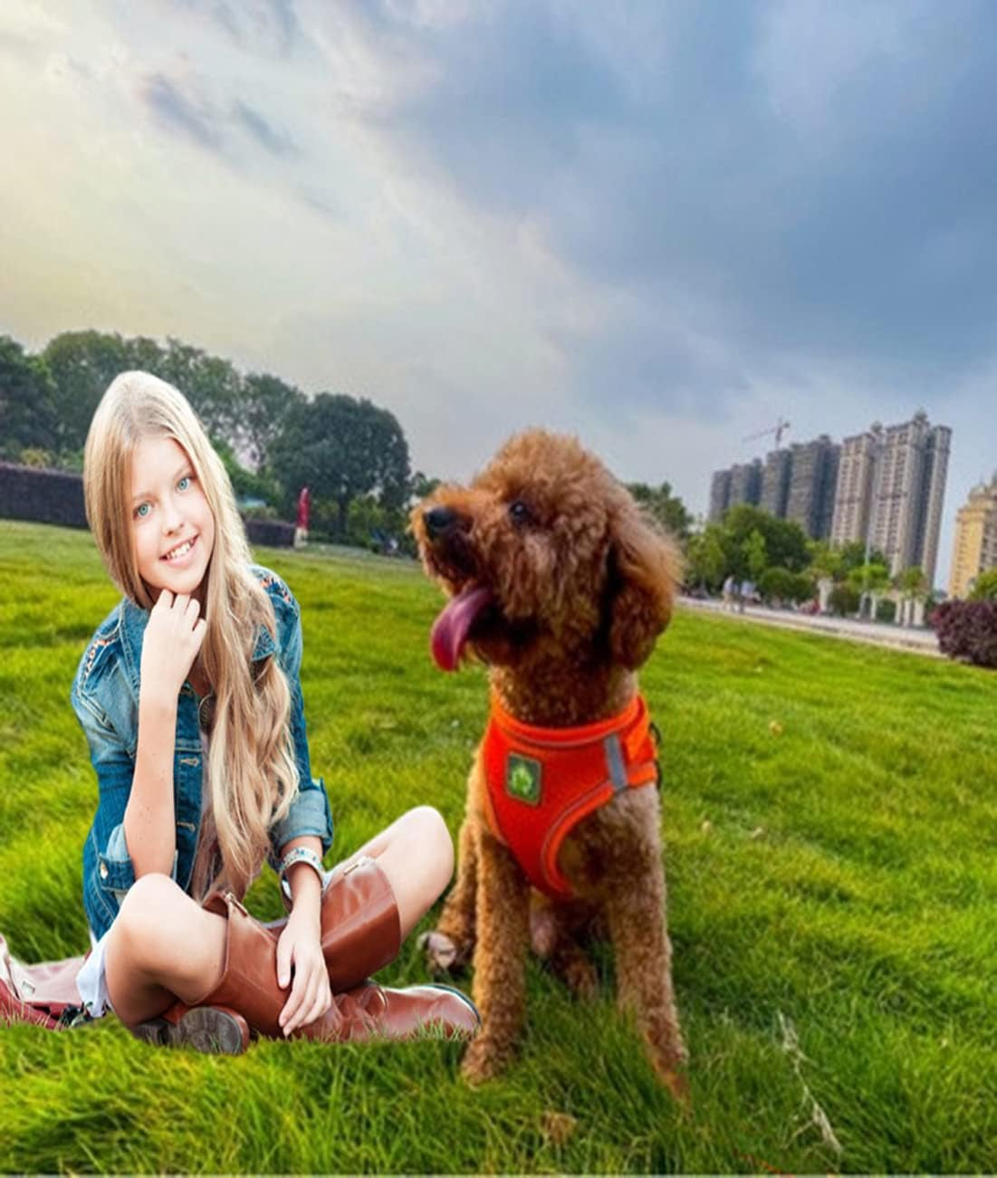 No Pull Small Dog Harness and Leash Set, Puppy and Cat Harness Escape Proof, Step in Breathable Mesh Vest, Adjustable Reflective Pet Harnesses for Small Medium Dogs and Kittens Walking