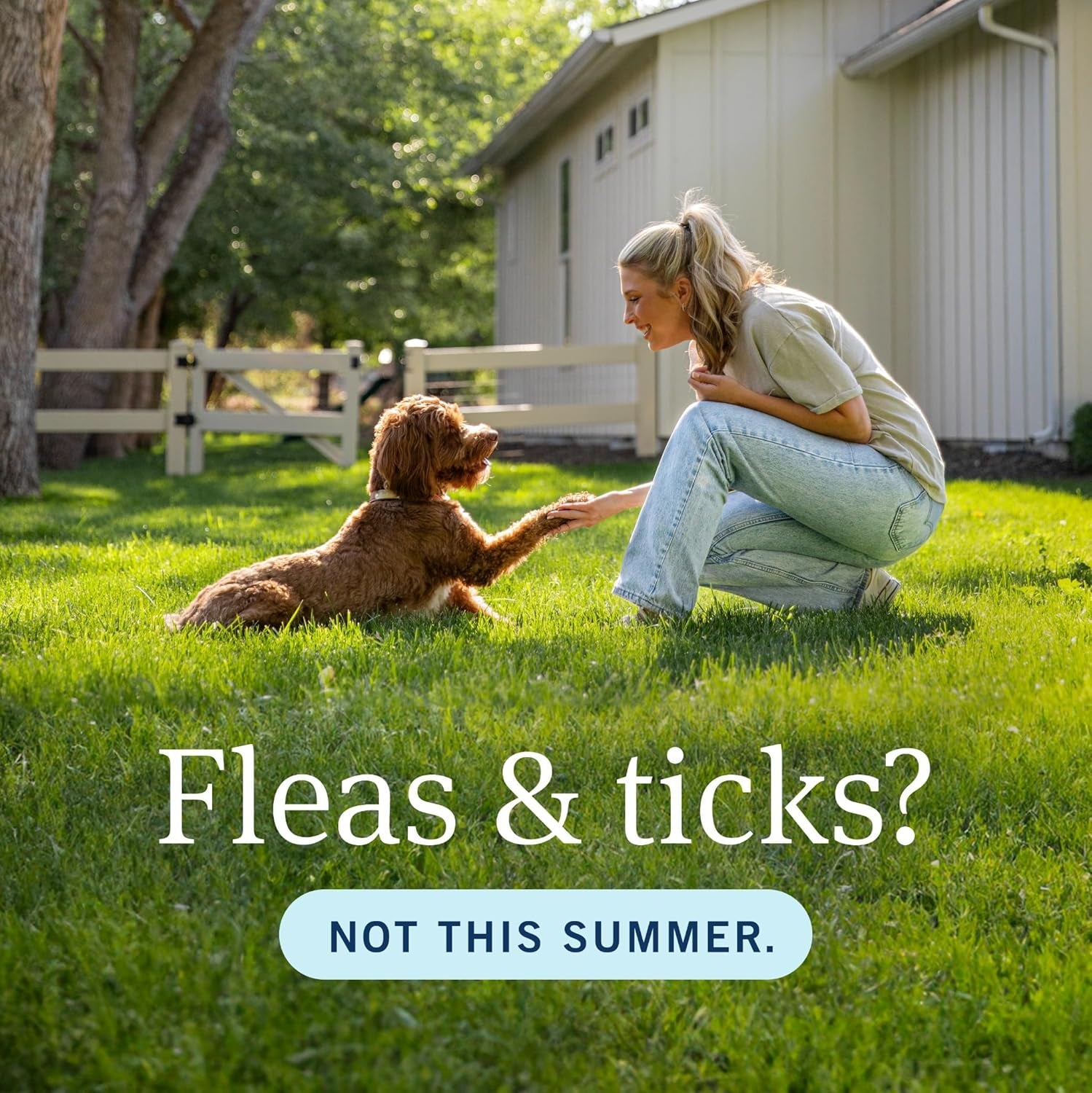plus Flea and Tick Prevention for Dogs, Dog Flea and Tick Treatment, 6 Doses, Waterproof Topical, Fast Acting, Medium Dogs (23-44 Lbs)