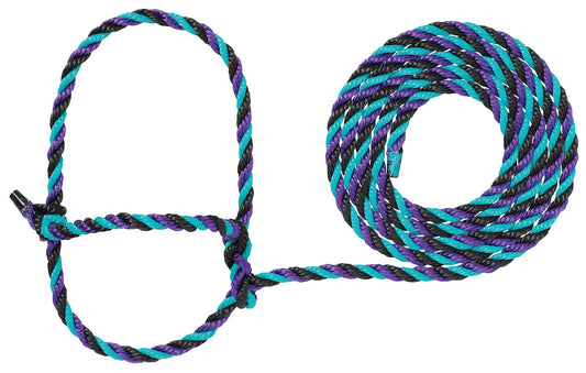 Weaver Leather Livestock Cattle Rope Halter, Purple/Black/T