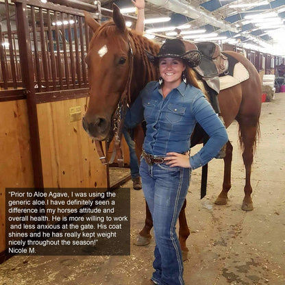 Aloe-Agave Supplement for Horses and Other Large Animals by
