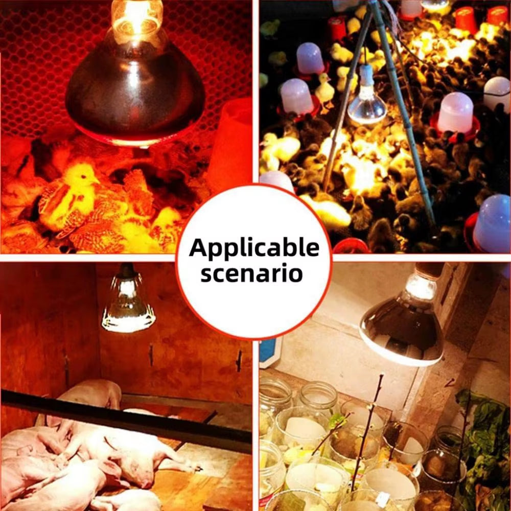 220V Infrared Heating Bulb Lamp 100/150/200/275W for Amphibians Reptiles Poultry Pets Livestock E27 Chicken Duck Farm Supplies
