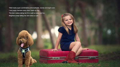 No Pull Small Dog Harness and Leash Set, Puppy and Cat Harness Escape Proof, Step in Breathable Mesh Vest, Adjustable Reflective Pet Harnesses for Small Medium Dogs and Kittens Walking